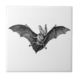 Azulejo Vintage Bat Gothic Vampire