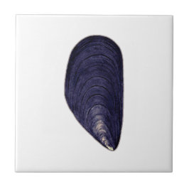 Azulejo Vintage Blue Mussel