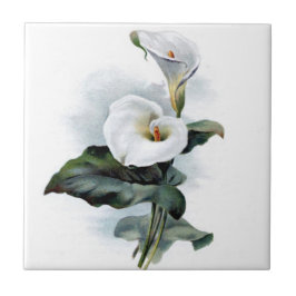 Azulejo Vintage calla lily