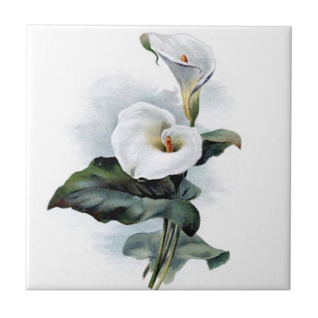 Azulejo Vintage calla lily (Frente)
