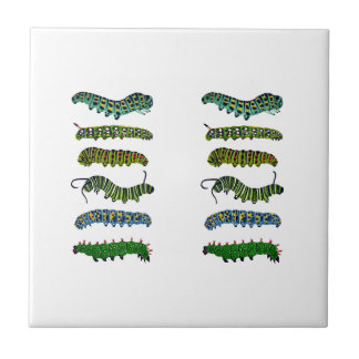 Azulejo Vintage Caterpillar Illustration Mug 