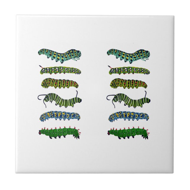 Azulejo Vintage Caterpillar Illustration Mug  (Frente)