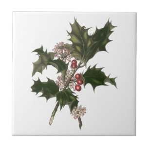Azulejo Vintage Christmas, Green Holly Planta con Berries