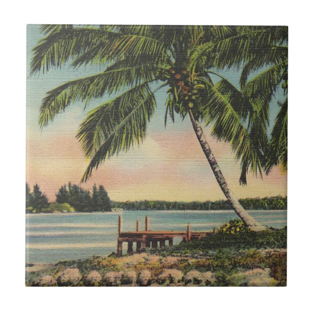 Azulejo Vintage Coconut Palmas Breeze Tropical Sunset (Frente)