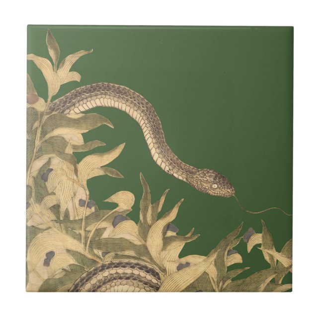 Azulejo Vintage de serpiente verde (Frente)