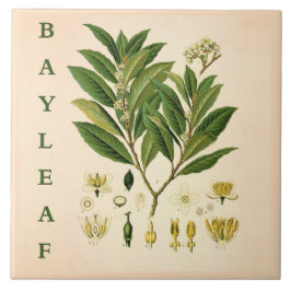 Azulejo Vintage Kitchen Art: Bay Leaf Herb plant flowers