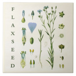 Azulejo Vintage Kitchen Art: Flaxseed Linseed Flax Plant