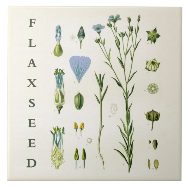 Azulejo Vintage Kitchen Art: Flaxseed Linseed Flax Plant (Frente)