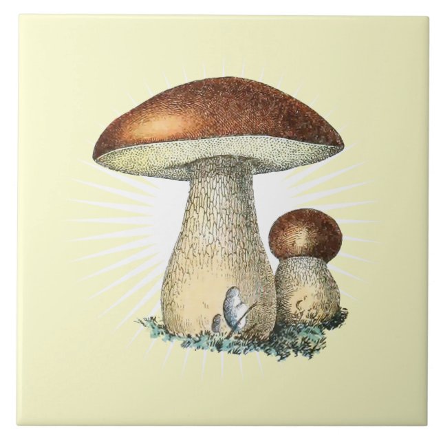 Azulejo Vintage Mushroom Art Ceramic Tile (Frente)