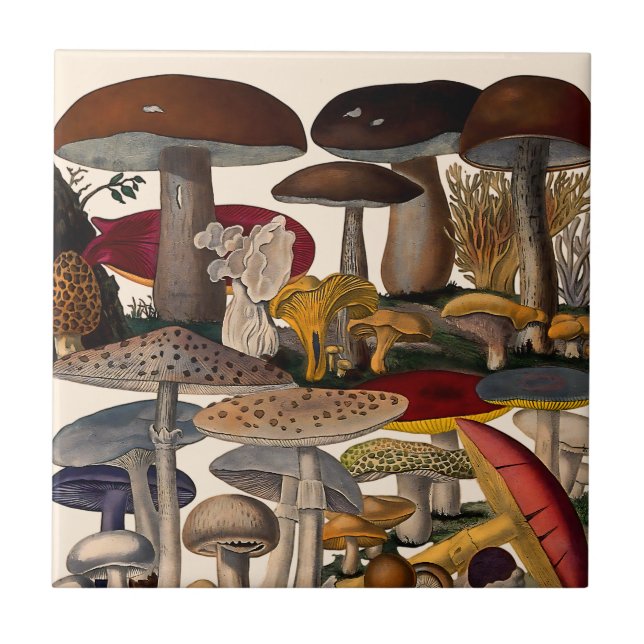 Azulejo Vintage mushrooms illustration (Frente)
