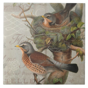 Azulejo Vintage Nesting Birds Collage Botanage Art Script