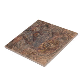 Azulejo Vintage Sea Shells Ocean Beach Brown Nautical