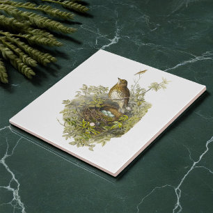 Azulejo Vintage Thrush Guards Her Eggs