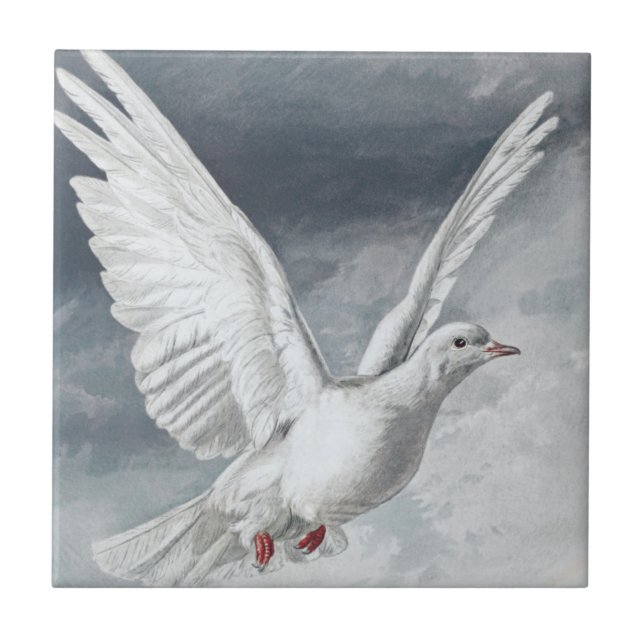 Azulejo Vintage White Dove (Frente)