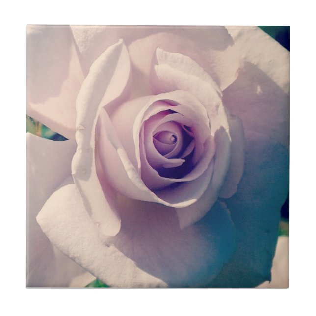 Azulejo Violet Rosa (Frente)