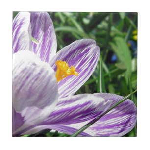 Azulejo Violet Spring Crocus
