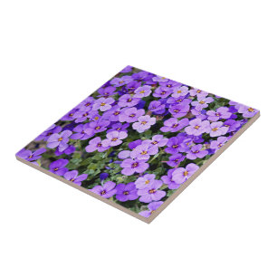 Azulejo Violetas