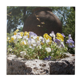 Azulejo Violetas en un abrevadero de piedra.