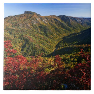 Azulejo Vista de otoño del desfiladero de Linville a menud