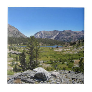 Azulejo Vista del Lago Shell, Paso Tioga, California
