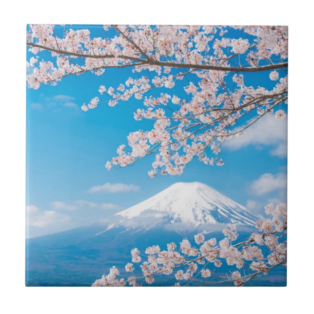 Azulejo Vista del monte Fuji con las flores de cerezo (Frente)
