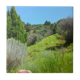 Azulejo Vista del mosaico verde