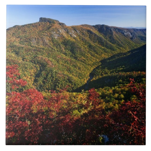 Azulejo Vista del otoño de Linville Gorge a menudo llamado (Frente)