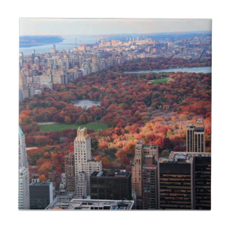 Azulejo Vista desde arriba: Otoño en Central Park 01