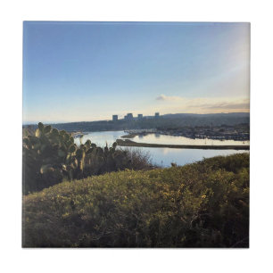 Azulejo Vista desde Castaways Park, Newport Beach, CA