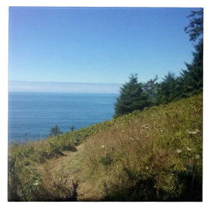 Azulejo Vista desde el sendero Hart's Cove Trail, Costa de