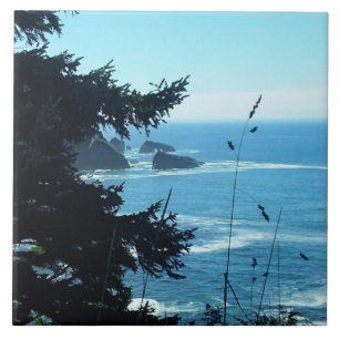 Azulejo Vista desde la ensenada de Hart, Costa de Oregón