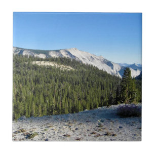 Azulejo Vista desde Olmstead Point, Yosemite, CA