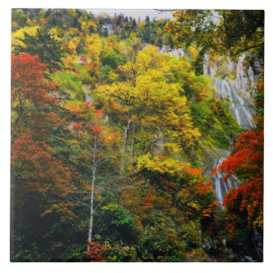 Azulejo Vista pintoresca del otoño de Hagoromo Falls Hokka