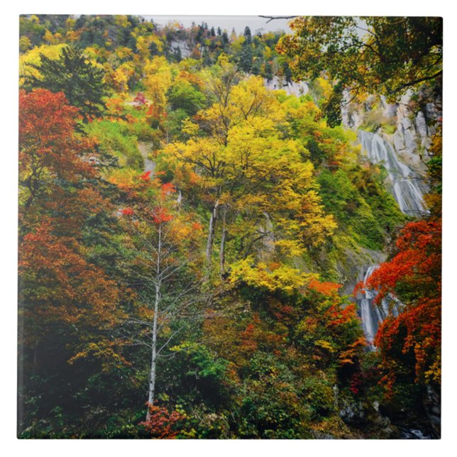 Azulejo Vista pintoresca del otoño de Hagoromo Falls Hokka (Frente)