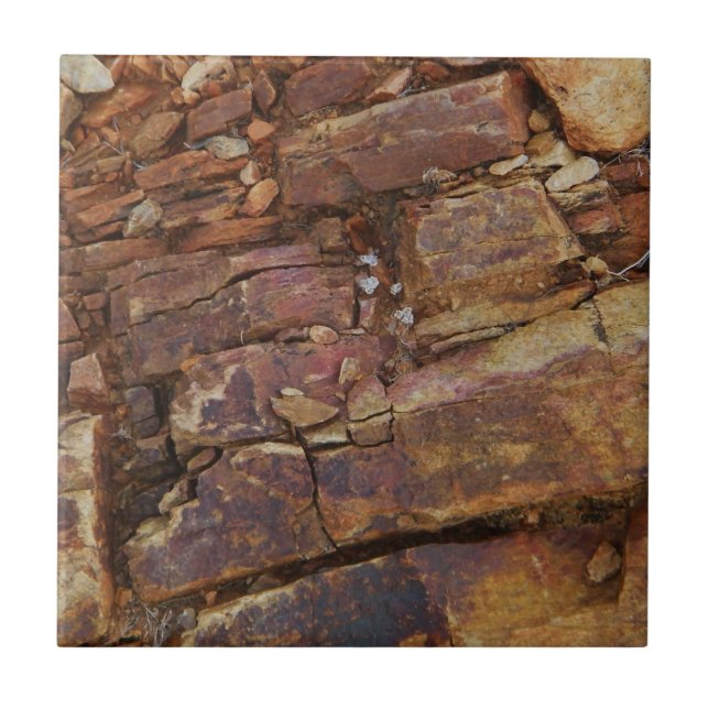 Azulejo Vista rocosa (Frente)