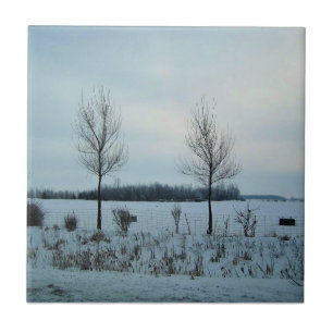 Azulejo Vista rural en Quebec, Canadá