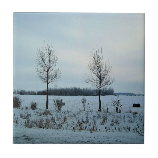 Azulejo Vista rural en Quebec, Canadá (Frente)