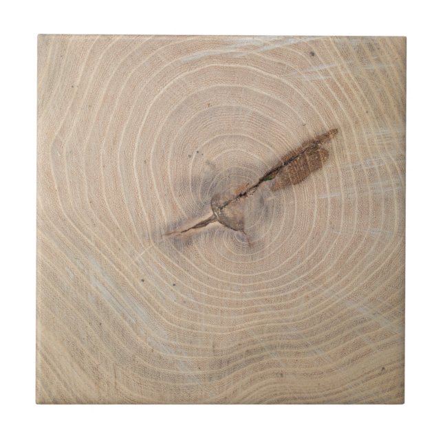 Azulejo Vista superior de los anillos anuales del primer (Frente)