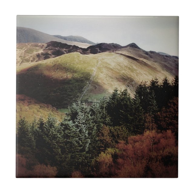 AZULEJO VISTAS A LAS MONTAÑAS DE GALES (Frente)