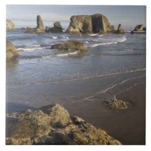 Azulejo Vistas costeras, Bandon, Oregón