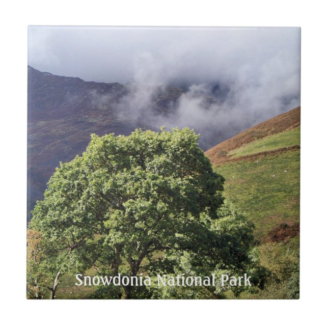 AZULEJO VISTAS DE GALES (Frente)