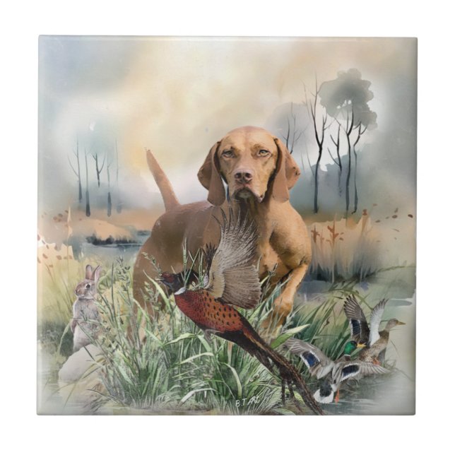 Azulejo Vizsla, Arte (Frente)
