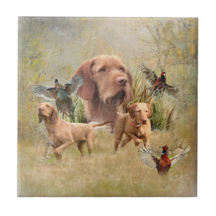 Azulejo Vizsla de cabello alámbrico húngaro