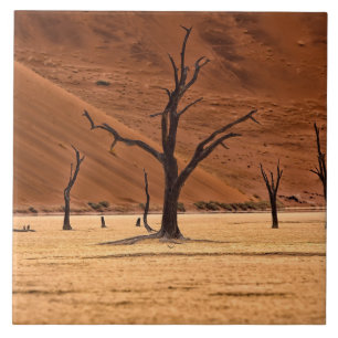 Azulejo Vlei muerto, Namibia