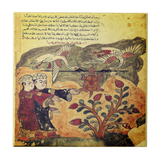 Azulejo Vuelo de la Tortuga Fábula del Renacimiento Indio