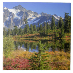 Azulejo WA, Área Recreativa Heather Meadows, Mt. 2