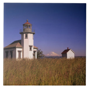Azulejo WA, Isla Maury, Faro de Point Robinson,
