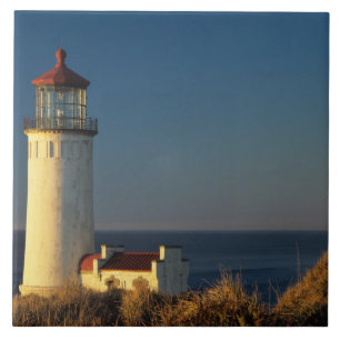 Azulejo WA, Parque Estatal Cape Disappointment, North Head