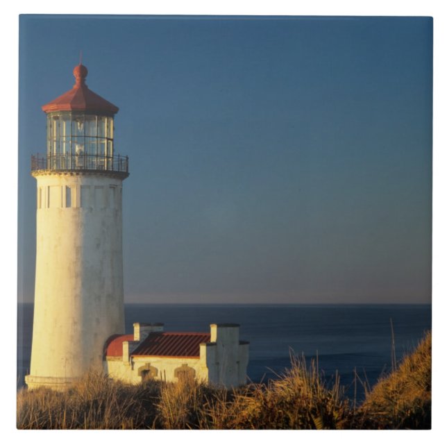 Azulejo WA, Parque Estatal Cape Disappointment, North Head (Frente)