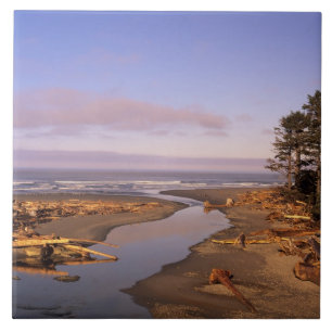 Azulejo WA, Parque Nacional Olympic, playa Kalaloch y Kala